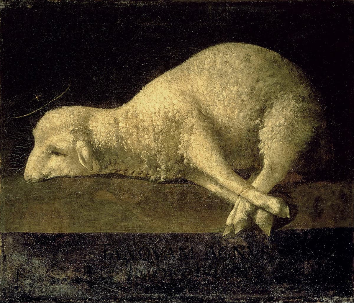 Agnus Dei: a bound lamb lying on a stone slab against darkness