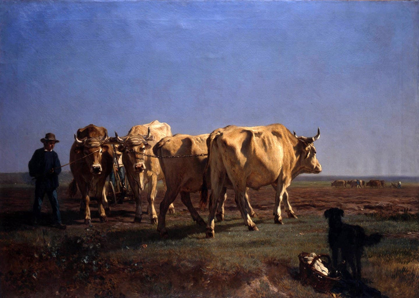 A man in a dark coat and hat walks beside four pale oxen yoked by the horns in two pairs, drawing a wheeled plough across a field under a blue sky, while a black dog stands by a basket in the foreground and other teams plough in the distance.