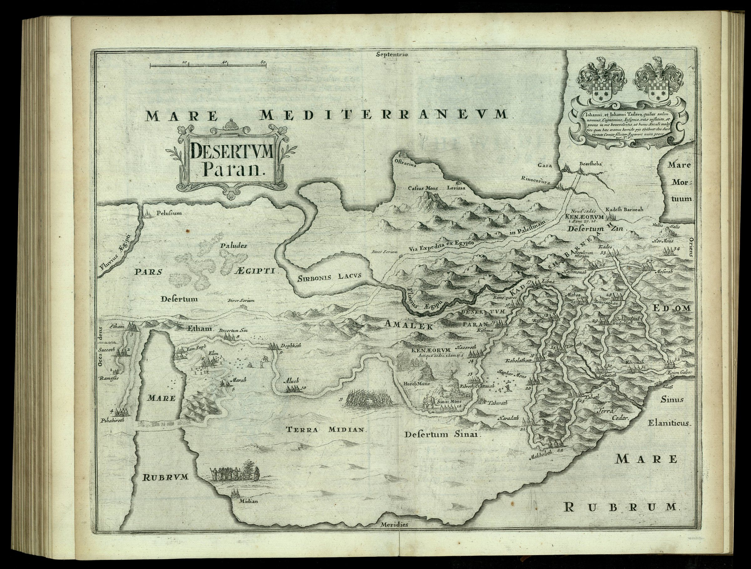 An engraved map from Egypt to the Dead Sea, with rows of mountains, Desertum Paran in the middle, Sinai below and numbered tents for Israel's camps