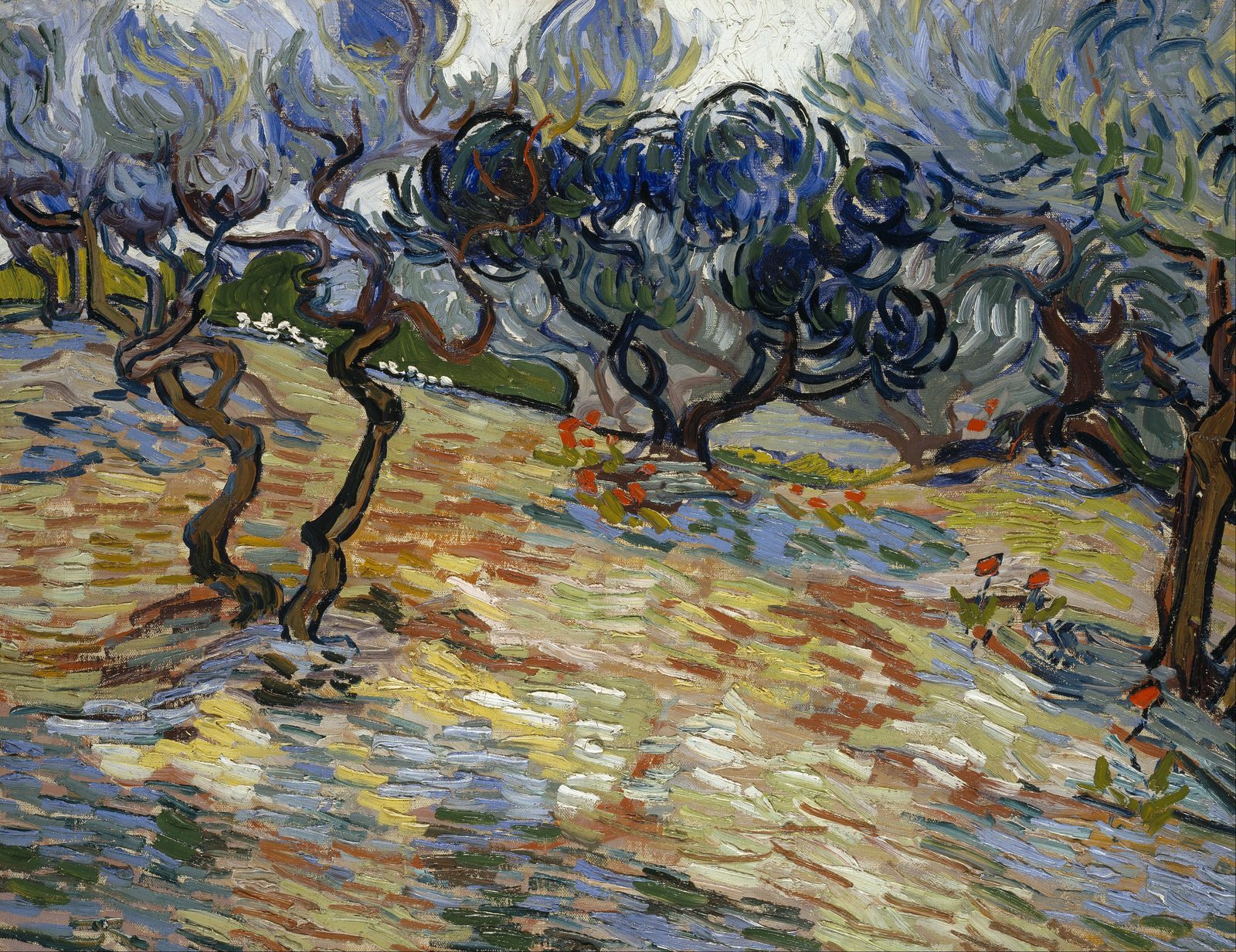 Olive Trees. Vincent van Gogh, Saint-Rémy-de-Provence, November 1889. Wikimedia Commons. Public domain.